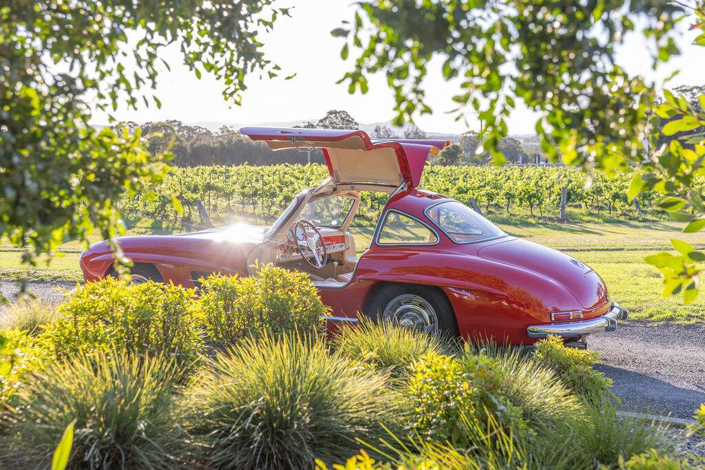 A classic car parked beside the vines at Adina Vineyard & Olive Grove